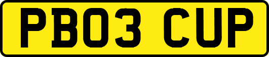 PB03CUP