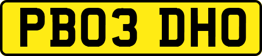 PB03DHO