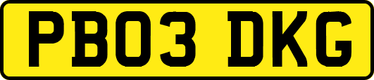 PB03DKG