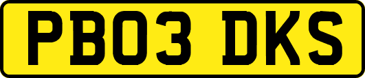 PB03DKS
