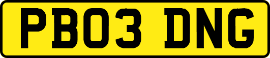 PB03DNG