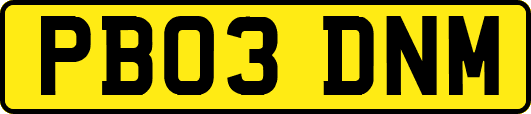 PB03DNM