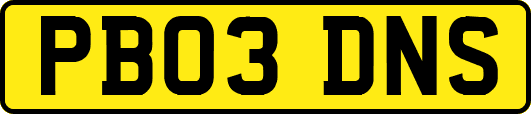 PB03DNS