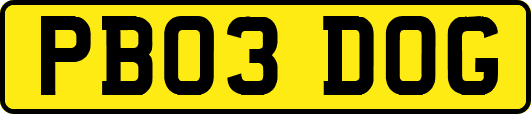 PB03DOG