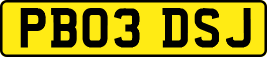 PB03DSJ