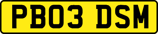 PB03DSM