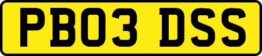 PB03DSS