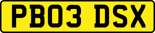 PB03DSX