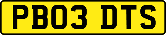 PB03DTS