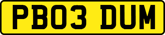 PB03DUM