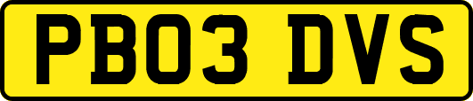 PB03DVS