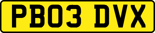 PB03DVX