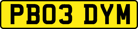 PB03DYM