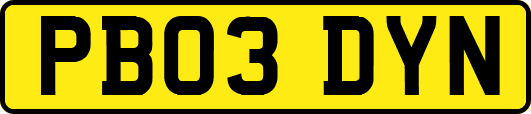 PB03DYN