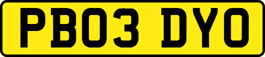 PB03DYO
