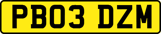 PB03DZM