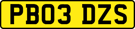 PB03DZS