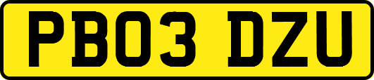 PB03DZU