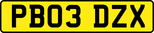 PB03DZX