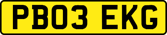 PB03EKG