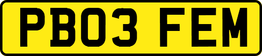 PB03FEM