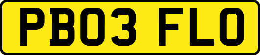 PB03FLO