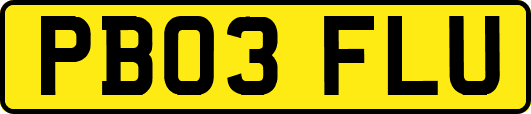 PB03FLU