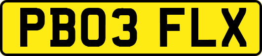 PB03FLX
