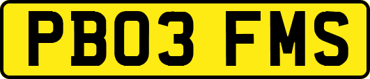 PB03FMS