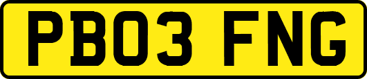 PB03FNG