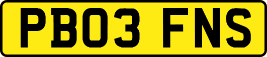 PB03FNS