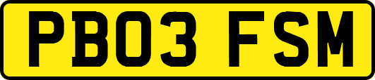PB03FSM