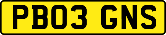 PB03GNS