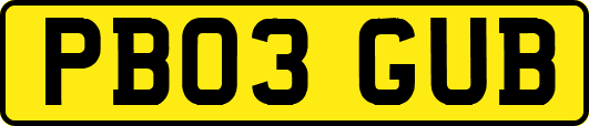 PB03GUB