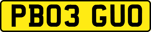 PB03GUO