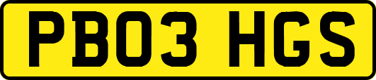 PB03HGS
