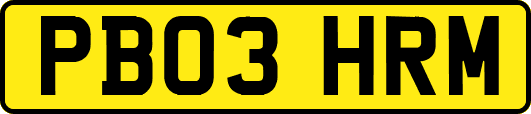 PB03HRM