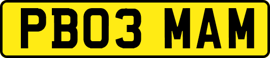 PB03MAM