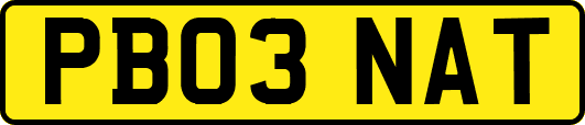 PB03NAT