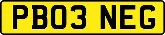 PB03NEG