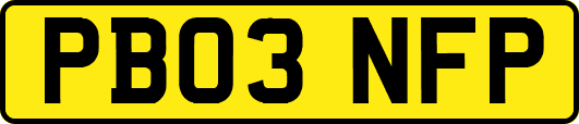 PB03NFP