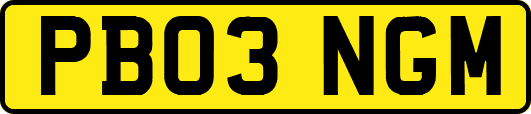 PB03NGM