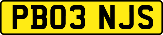PB03NJS