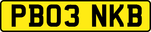 PB03NKB