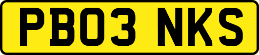 PB03NKS