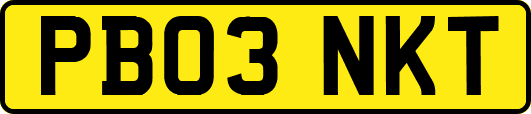PB03NKT