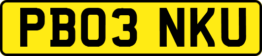PB03NKU