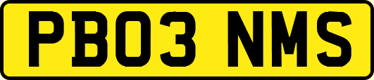 PB03NMS