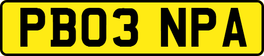 PB03NPA