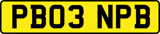 PB03NPB